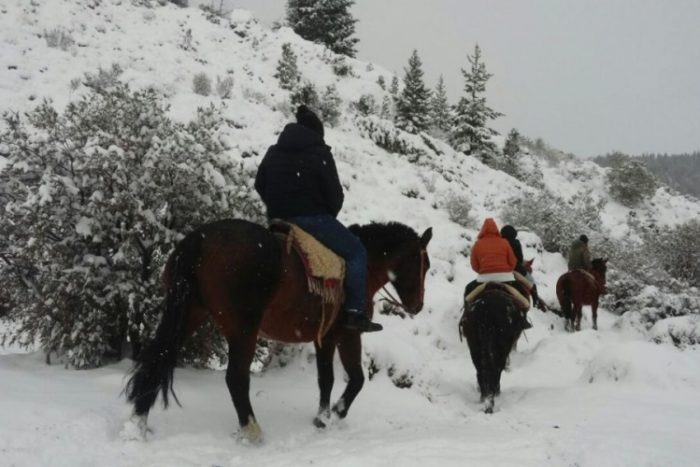 Cabalgata