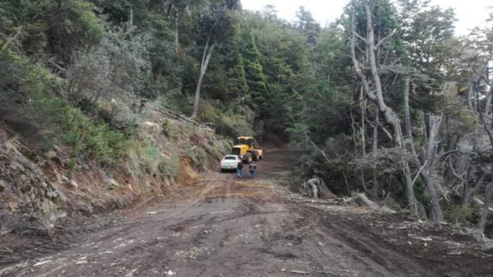 tareas-apeo-camino-a-Traful-3-1200×675